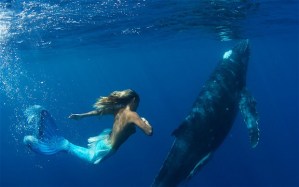 mermaid-whale-2_2214595i
