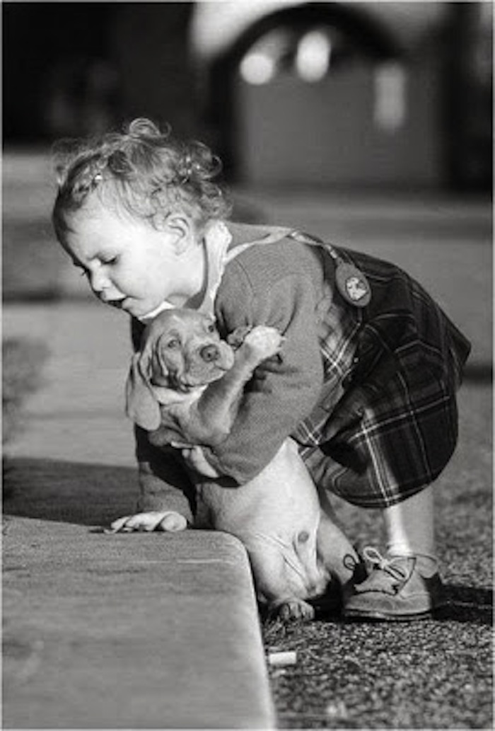 Pictures That Speak Volumes #4