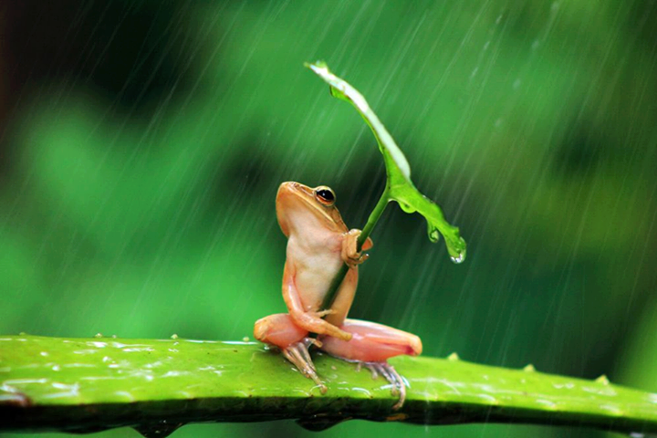 Getting Ready For The Rain