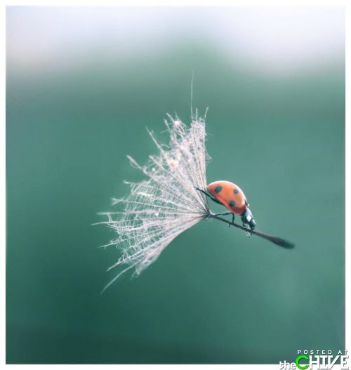 And...Awaaaaay We Gooooo!