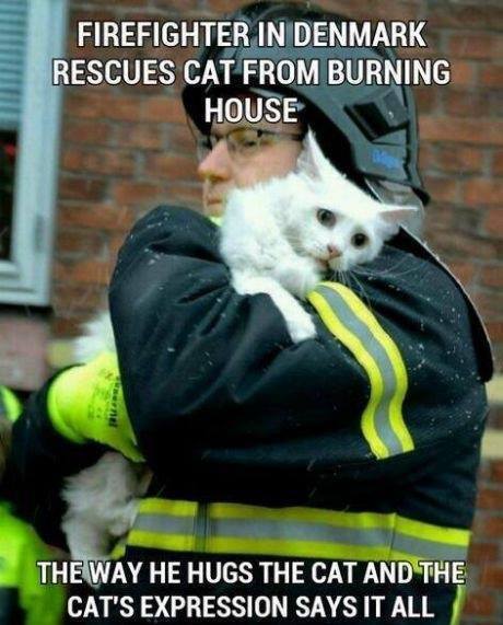 This Picture Says it All....