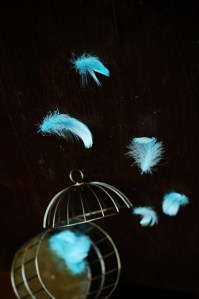 Photo Credit: ajari via Flickr