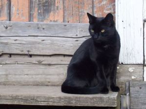 Photo Credit: iphis via morguefile.com