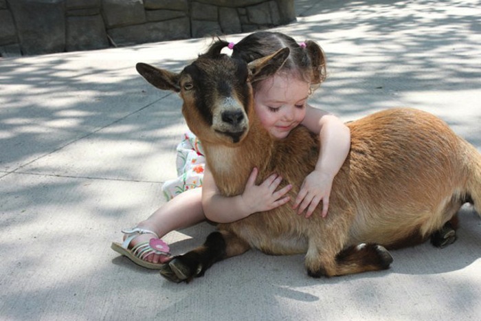 Pictures That Speak Volumes #26