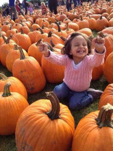 Joy of Pumpkins