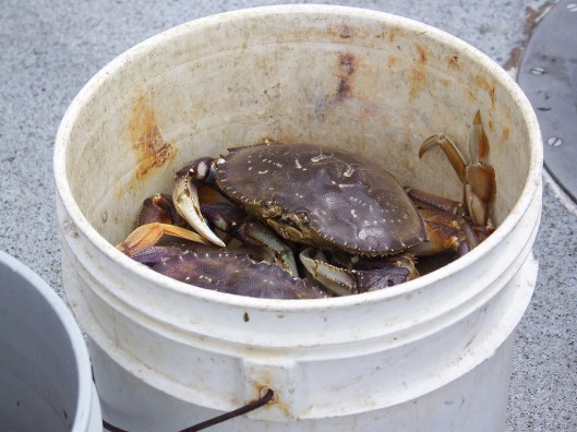 Photo Credit: Alyss via Flickr