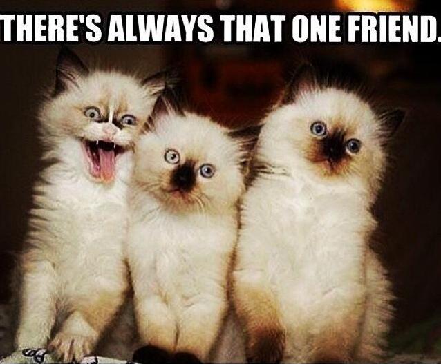 It Only Takes One.....