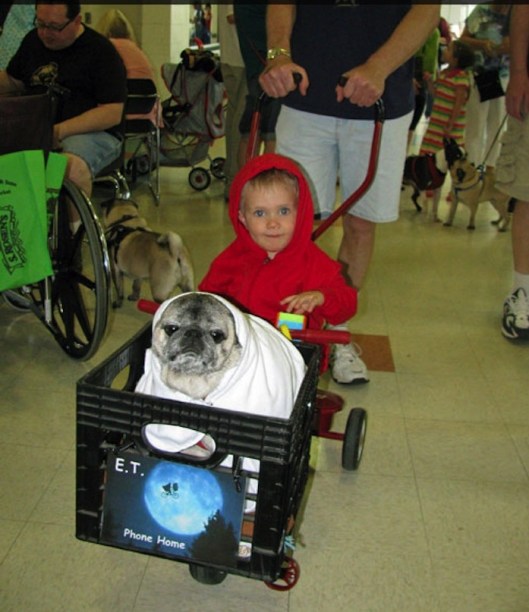 Photo Credit: Sting Feed.com