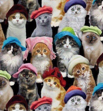 Heres Looking to You