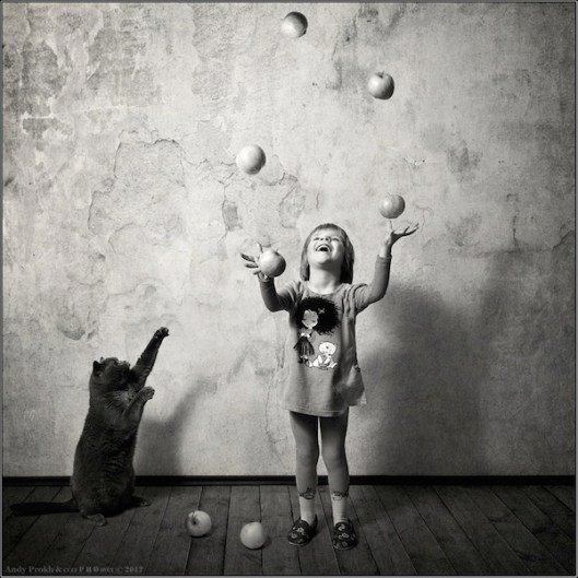 All Photo Credit: Andy Prokh @ DesignTaxi.com