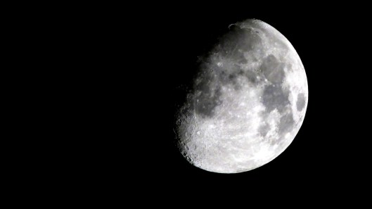 Photo Credit: ConiferConifer via CC Flickr