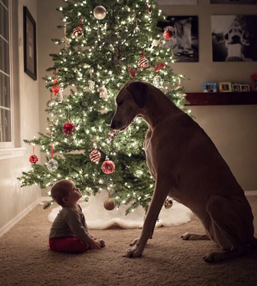 Photo Credit: Unknown