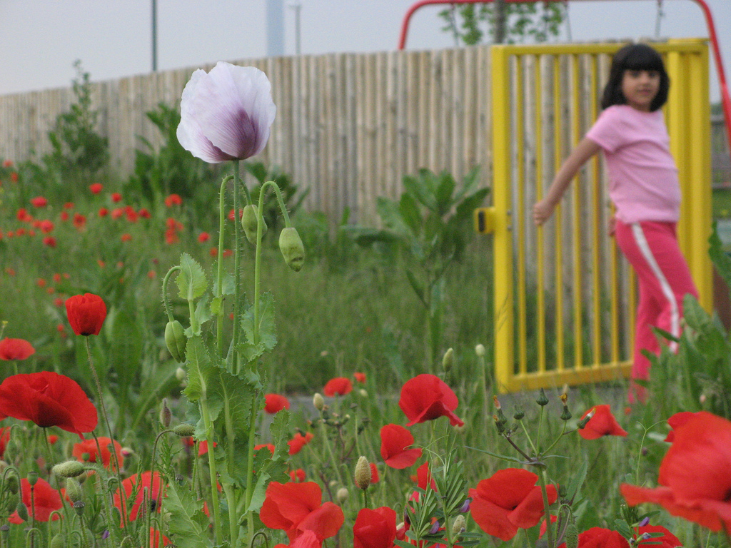 Photo Credit: Suvodeb Banerjee via CC Flickr