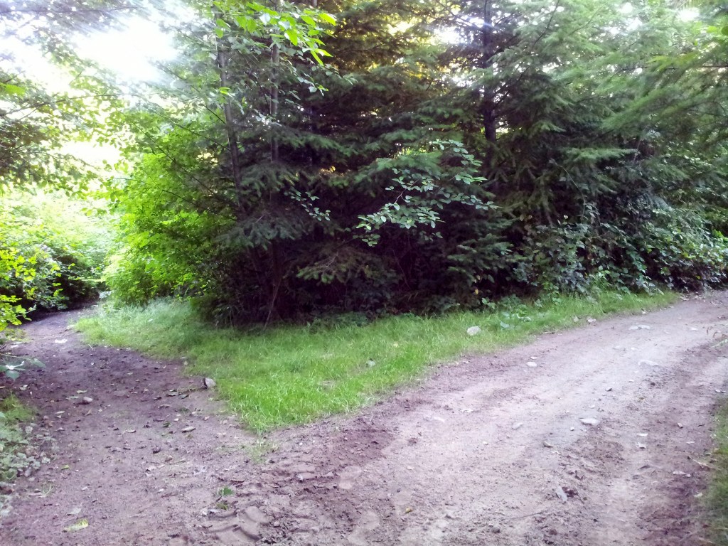 Photo Credit: Morag Spinner via CC Flickr