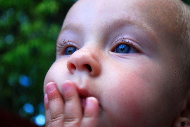 Photo Credit: Carissa Rogers via CC Flickr