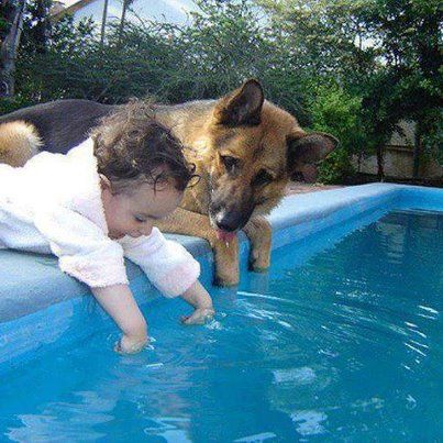 South Orange Humane Society Flickr