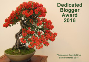 Dedicated Blogger Award