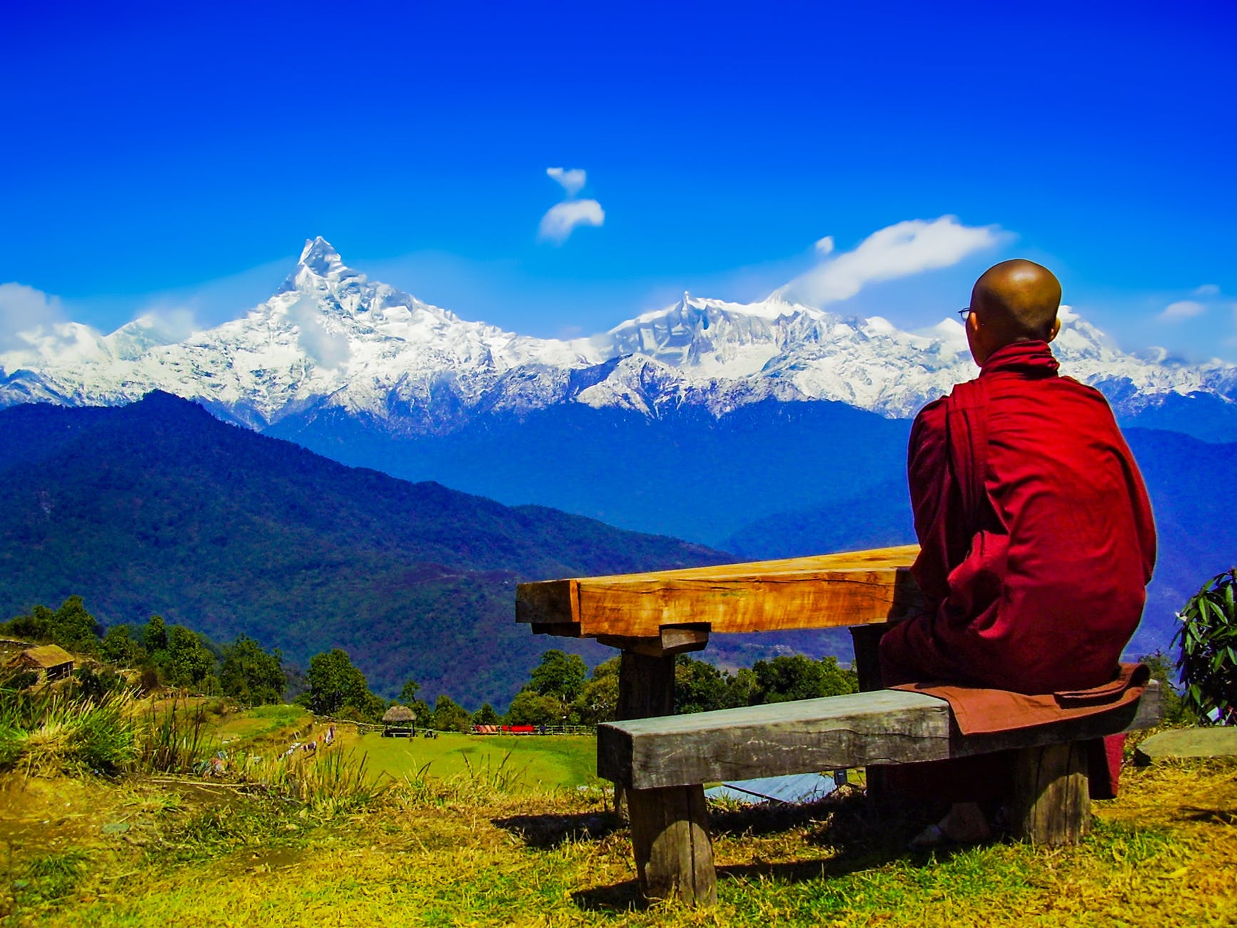 rear view of a man sitting on landscape