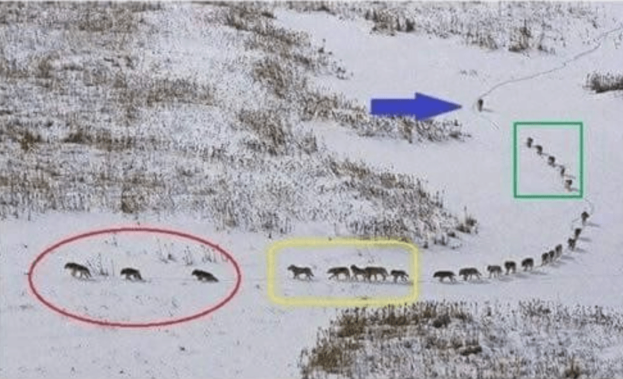 Screen Shot 2019-04-17 at 3.51.39 PM