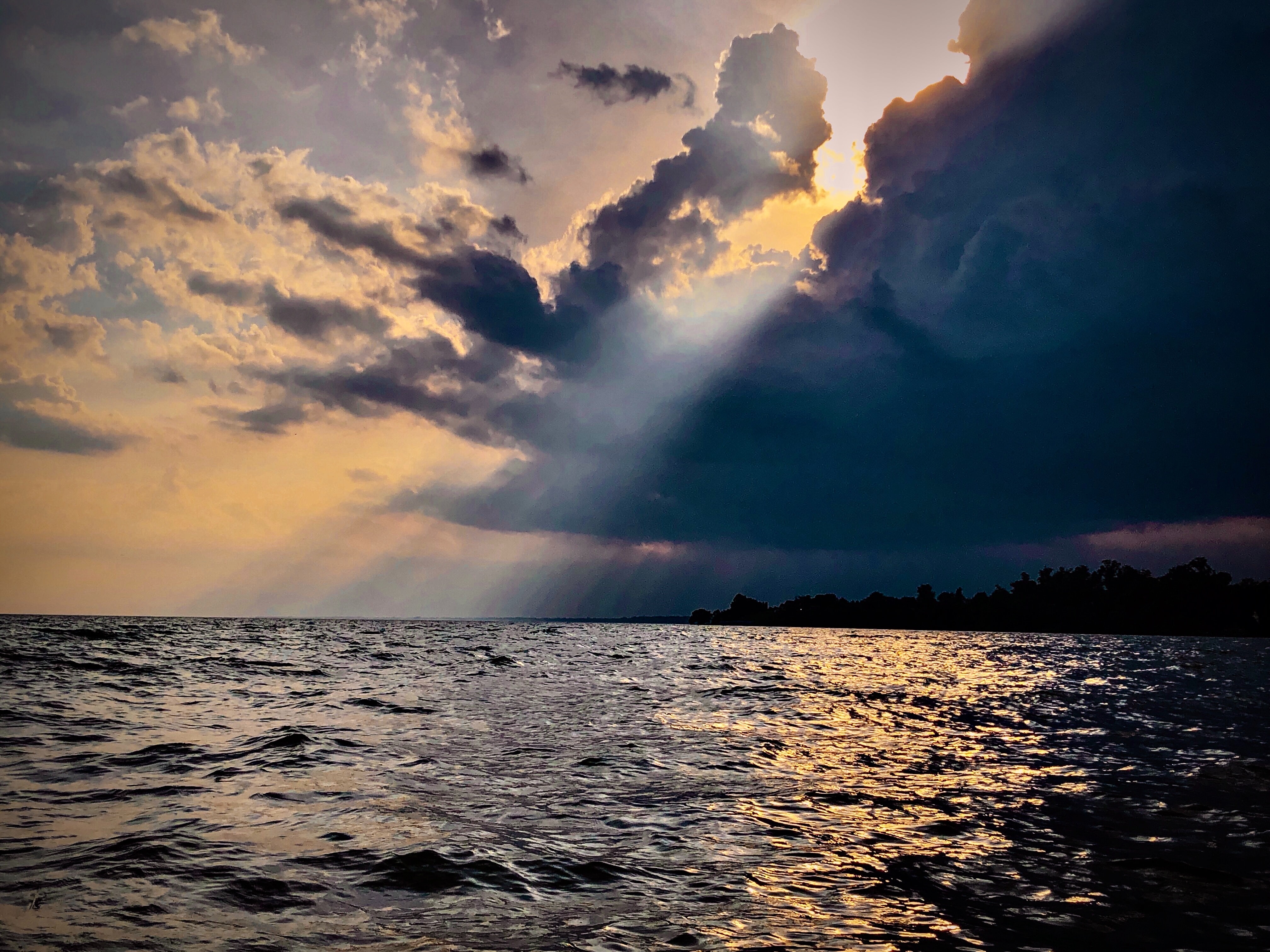 meet-savsani-BenK0Hc8x24-unsplash