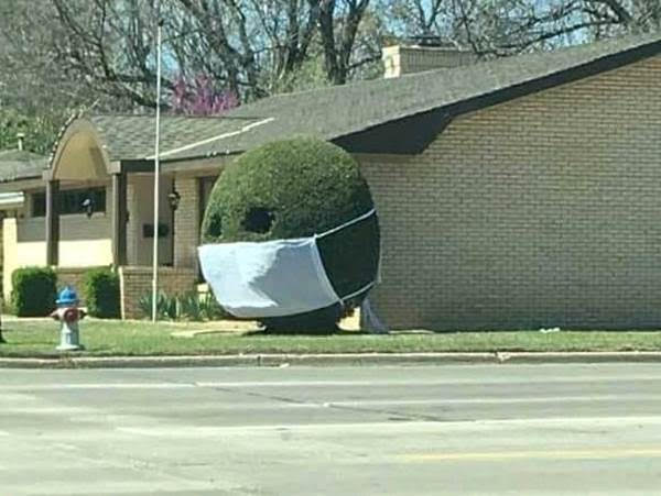 Bush Mask